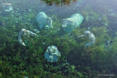 Presepe-Subacqueo-Rivodutri-foto-Massimo-Renzi-01-1024x681