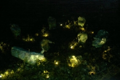 Presepe_Subacque-Rivodutri