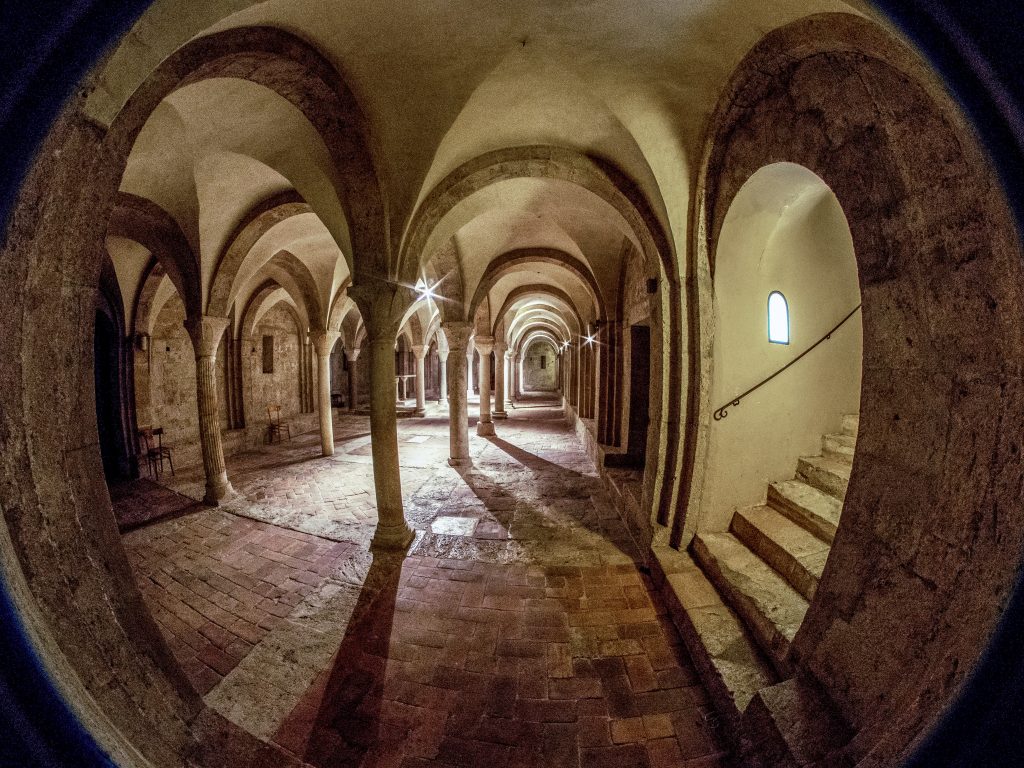 La Venerabile Compagnia delle Stimmate di San Francesco